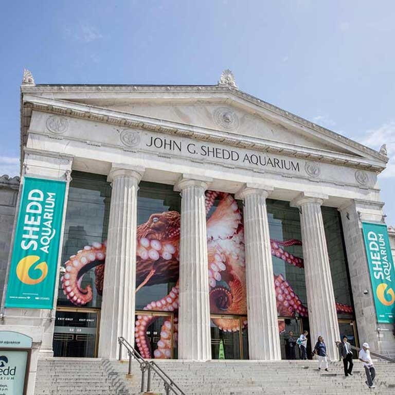 Exterior of the Shedd Aquarium in Chicago