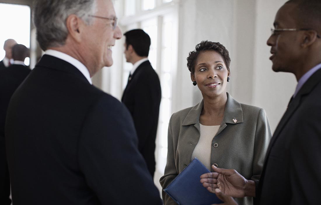 Group of business professionals talking.