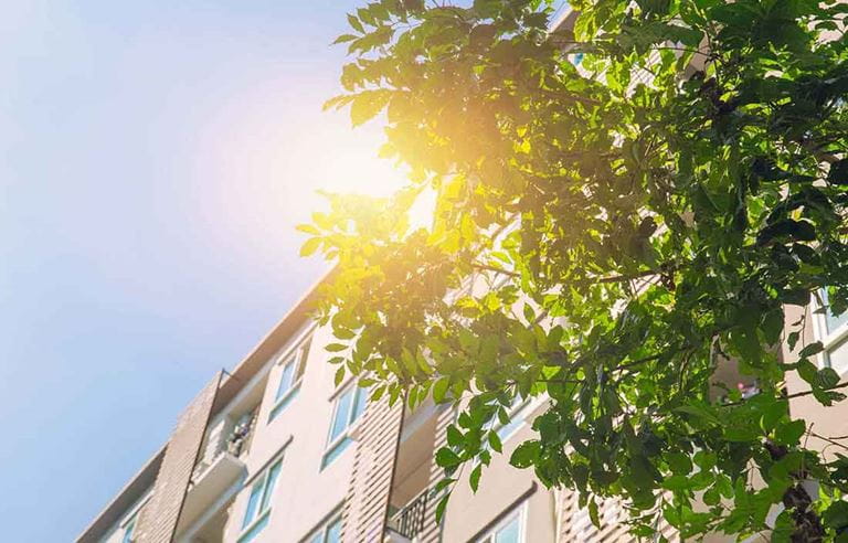 Looking up at the top floors of a senior living apartment building behind a tree on a sunny day