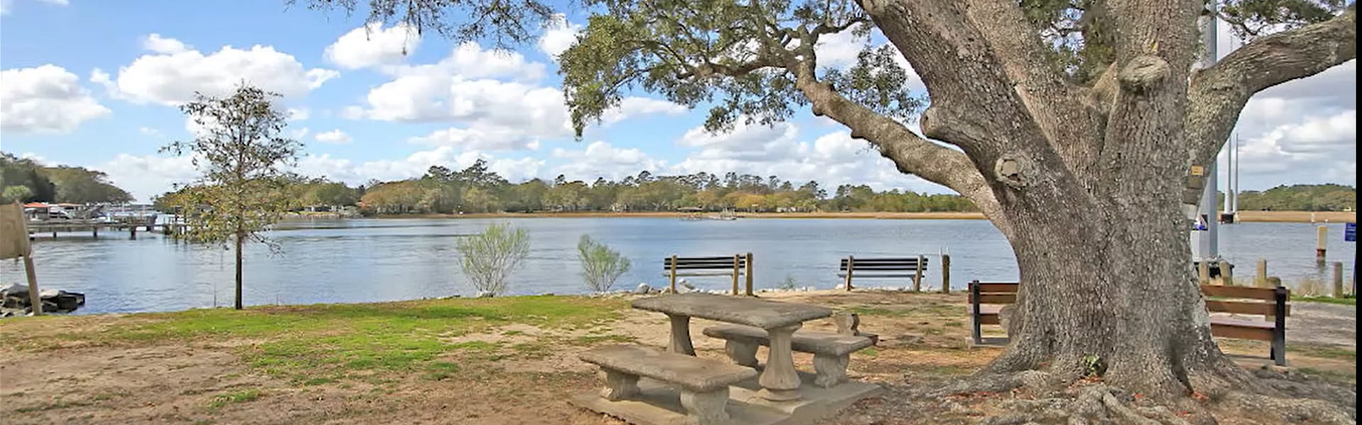 Sisters of Charity of Our Lady of Mercy Charleston Property view of lake and park