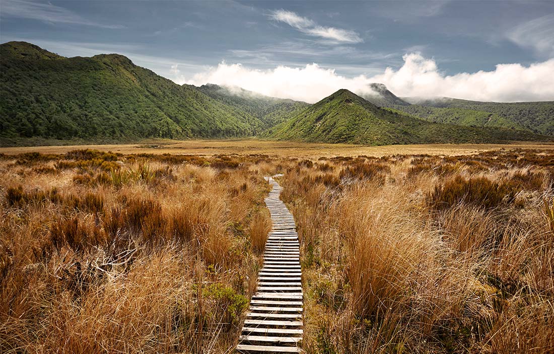 Walking path through harsh scrub brush toward a lush and green hilly area, symbolizing a journey to a better world